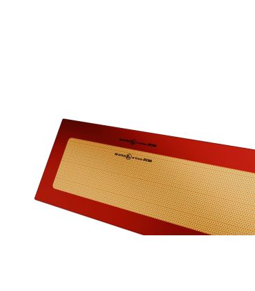 PLACA TRASERA VEHÍCULO LARGO